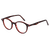 Tortoise