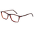 Tortoise