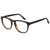 Tortoise