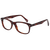 Tortoise