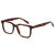 Tortoise