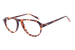 Tortoise