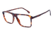 Tortoise