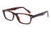 Tortoise
