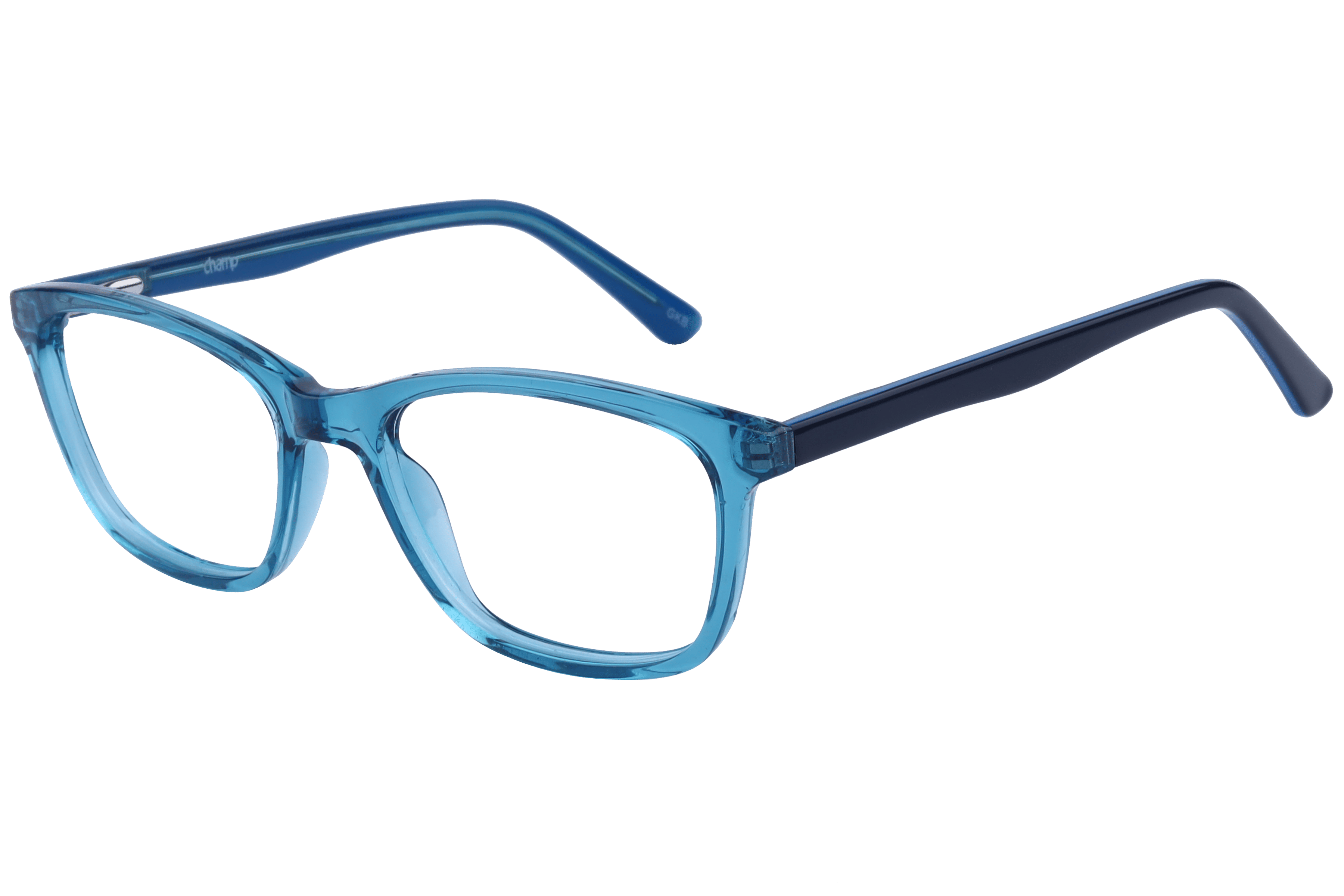 Champ 1003 Frame Blue Kids Full Shell — Blue frame