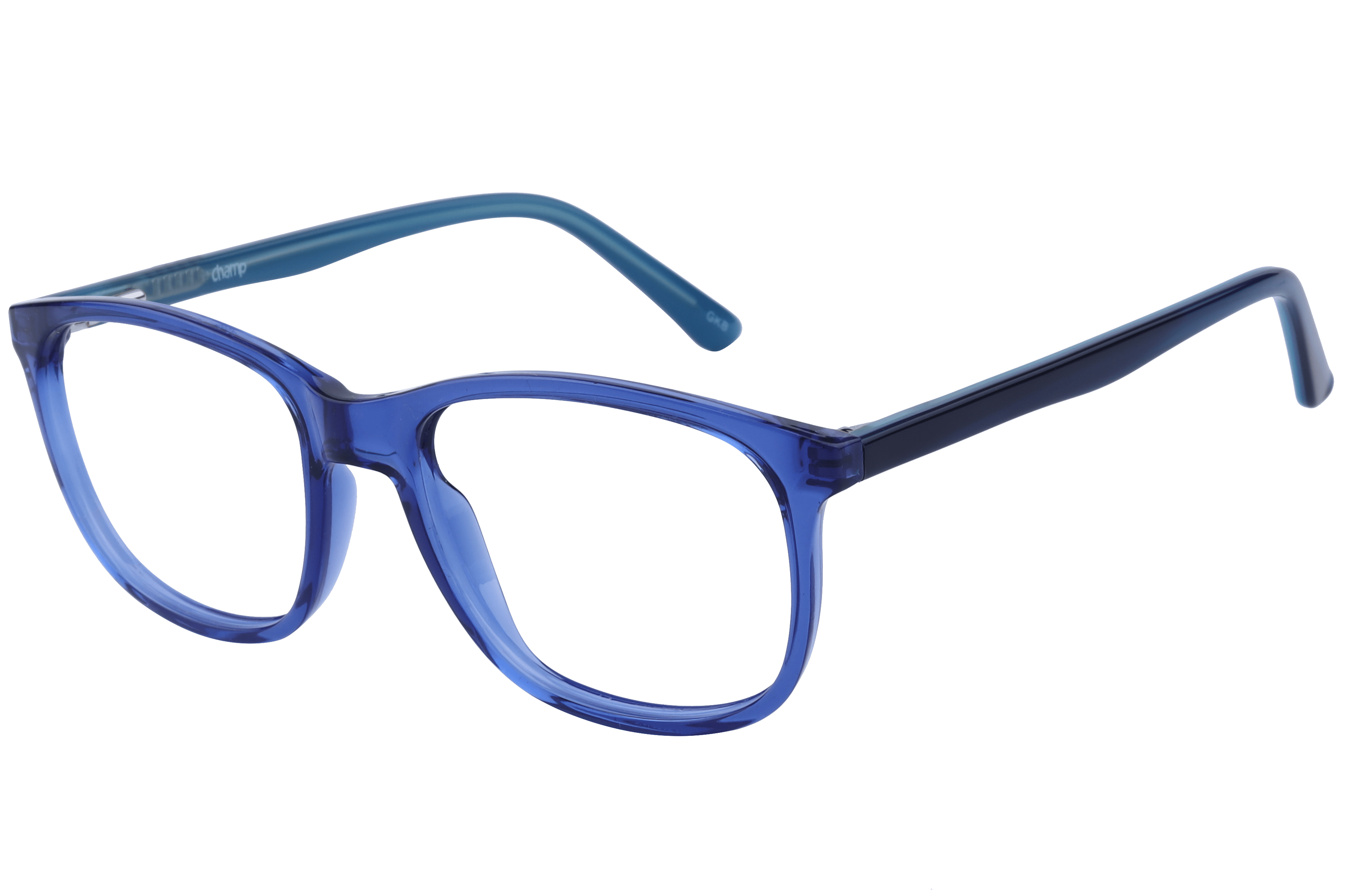 Champ 1006 Frame Blue Kids Full Shell — Blue frame