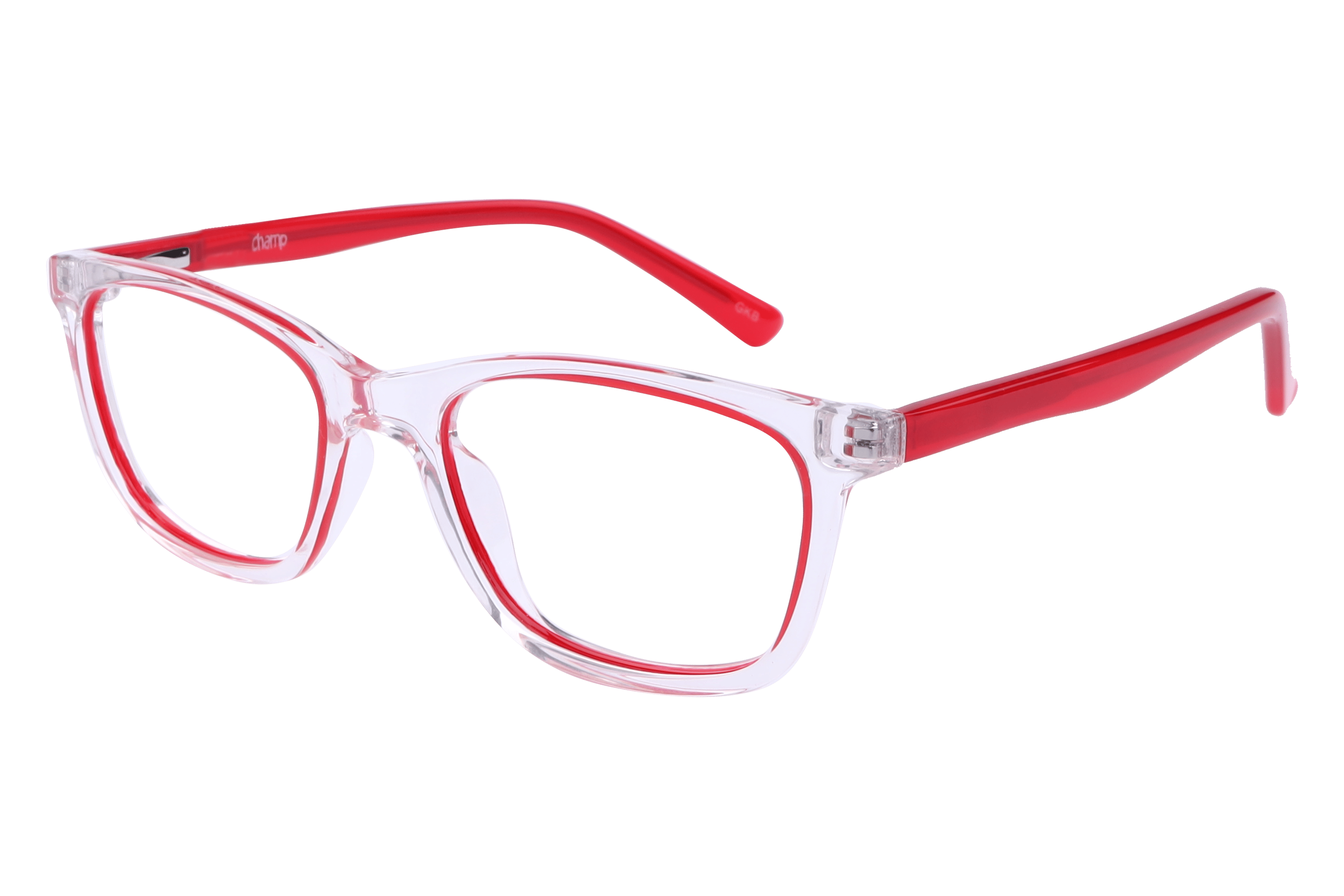 Champ 1009 Frame Transparent Kids Full Shell — Transparent frame