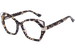 Tortoise