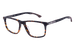 Tortoise