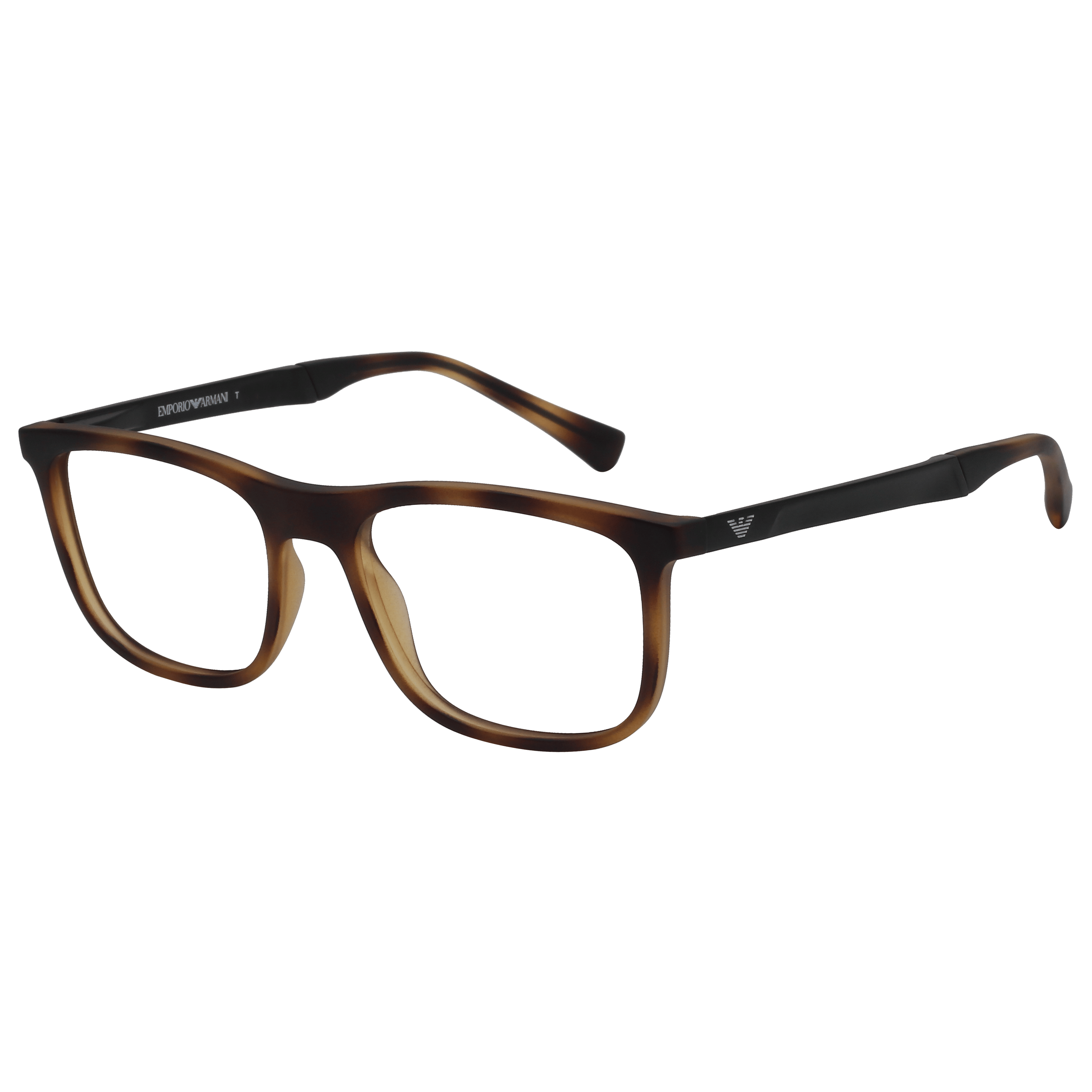 Emporio Armani 0EA3170 Frame Tortoise Male Full Metal