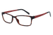 Tortoise