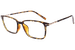Tortoise