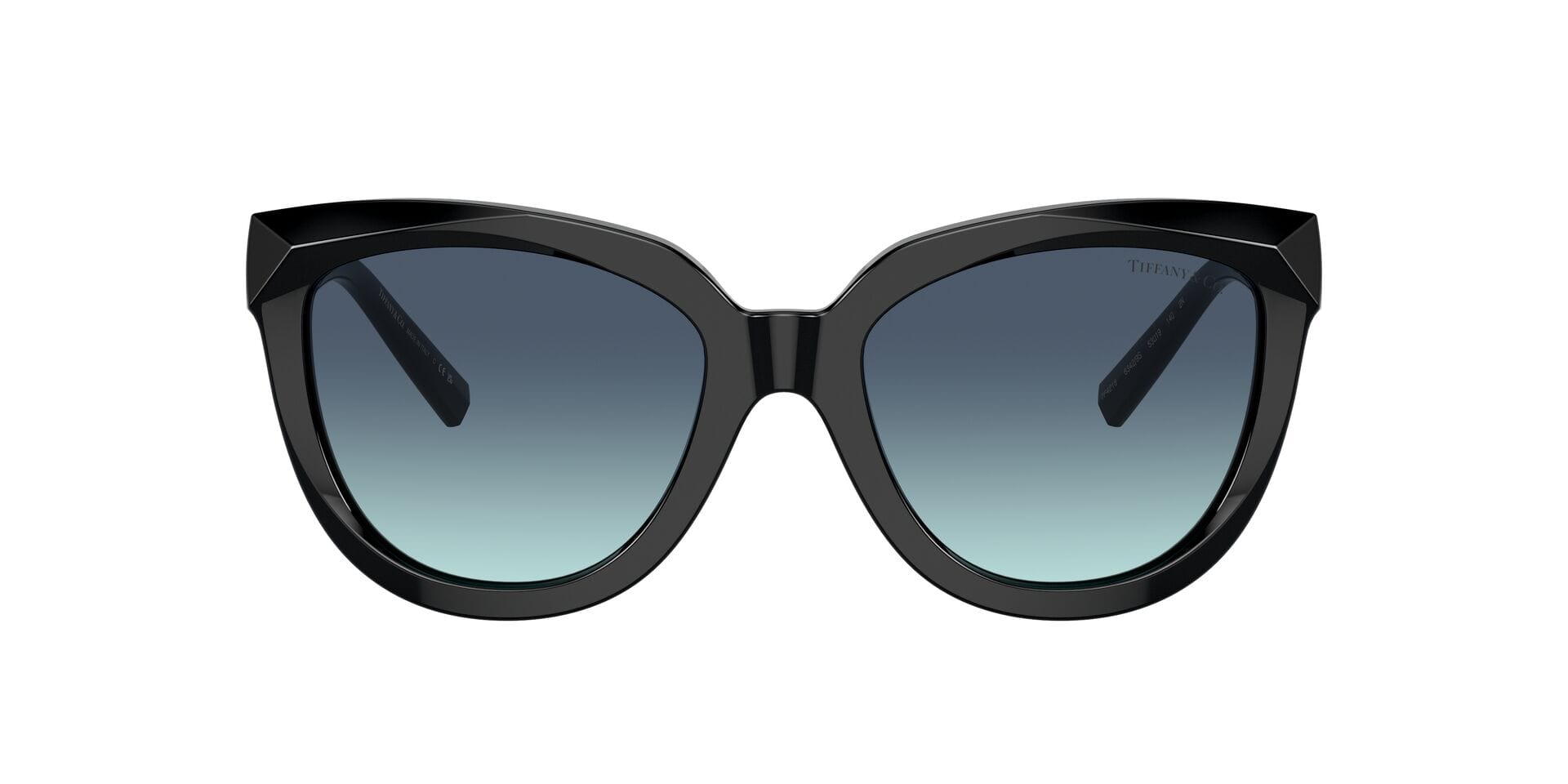 Tiffany & Co 0TF4215 Sunglass Black Female Full Metal