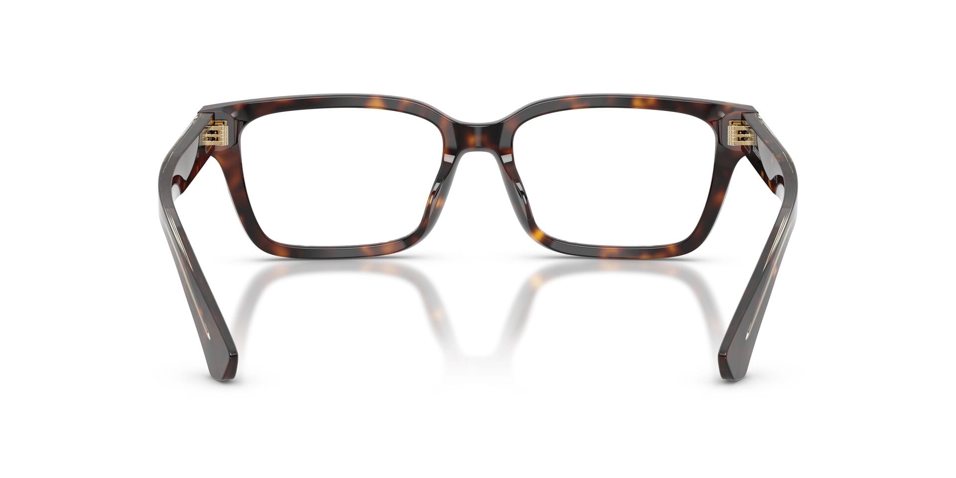 Burberry 0BE2453 Frame Havana Male Shell Shell Frame — Havana frame — view 2