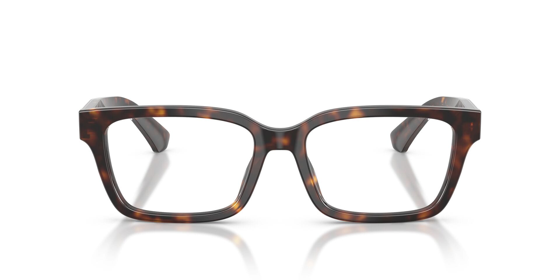 Burberry 0BE2453 Frame Havana Male Shell Shell Frame — Havana frame — view 4
