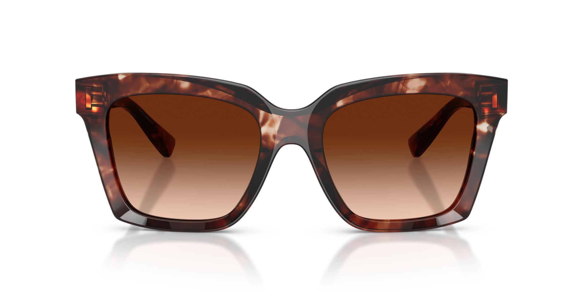 Dolce & Gabbana 0DG4498 Sunglass Havana Female Full Shell Sunglass — Havana frame — view 4