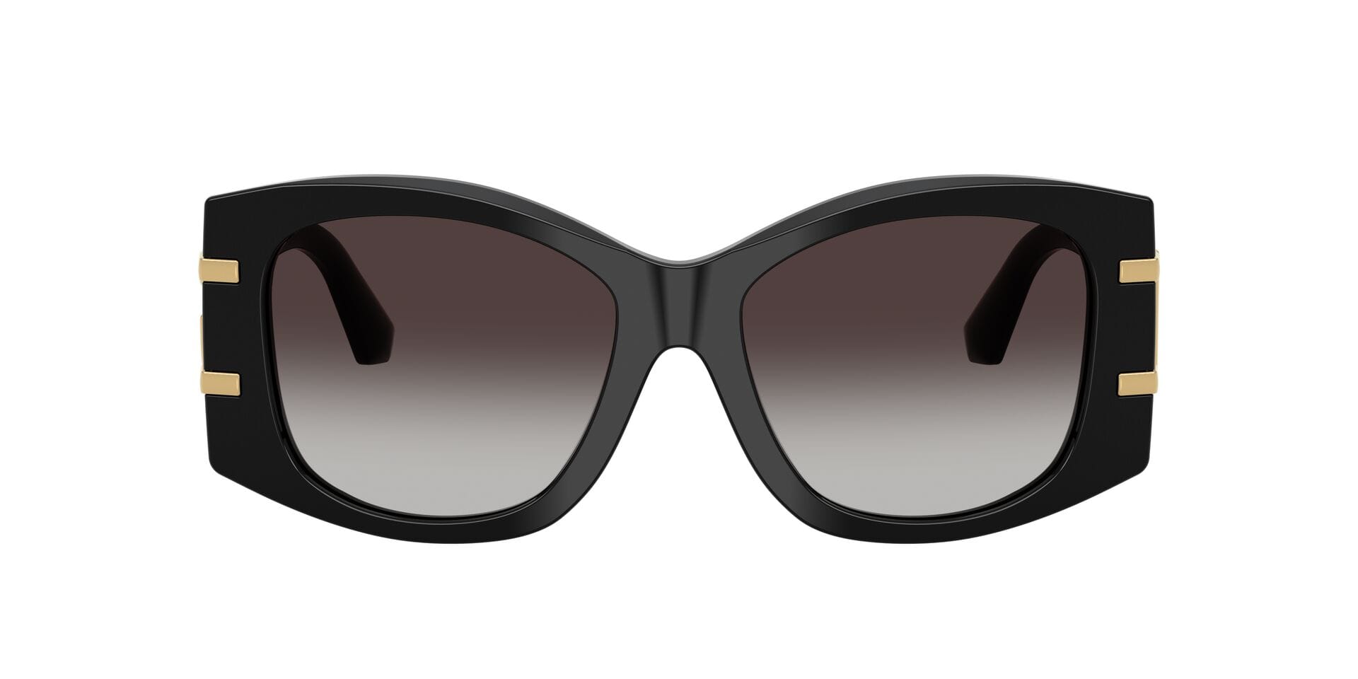 Dolce & Gabbana 0DG4501 Sunglass Black Female Full Shell