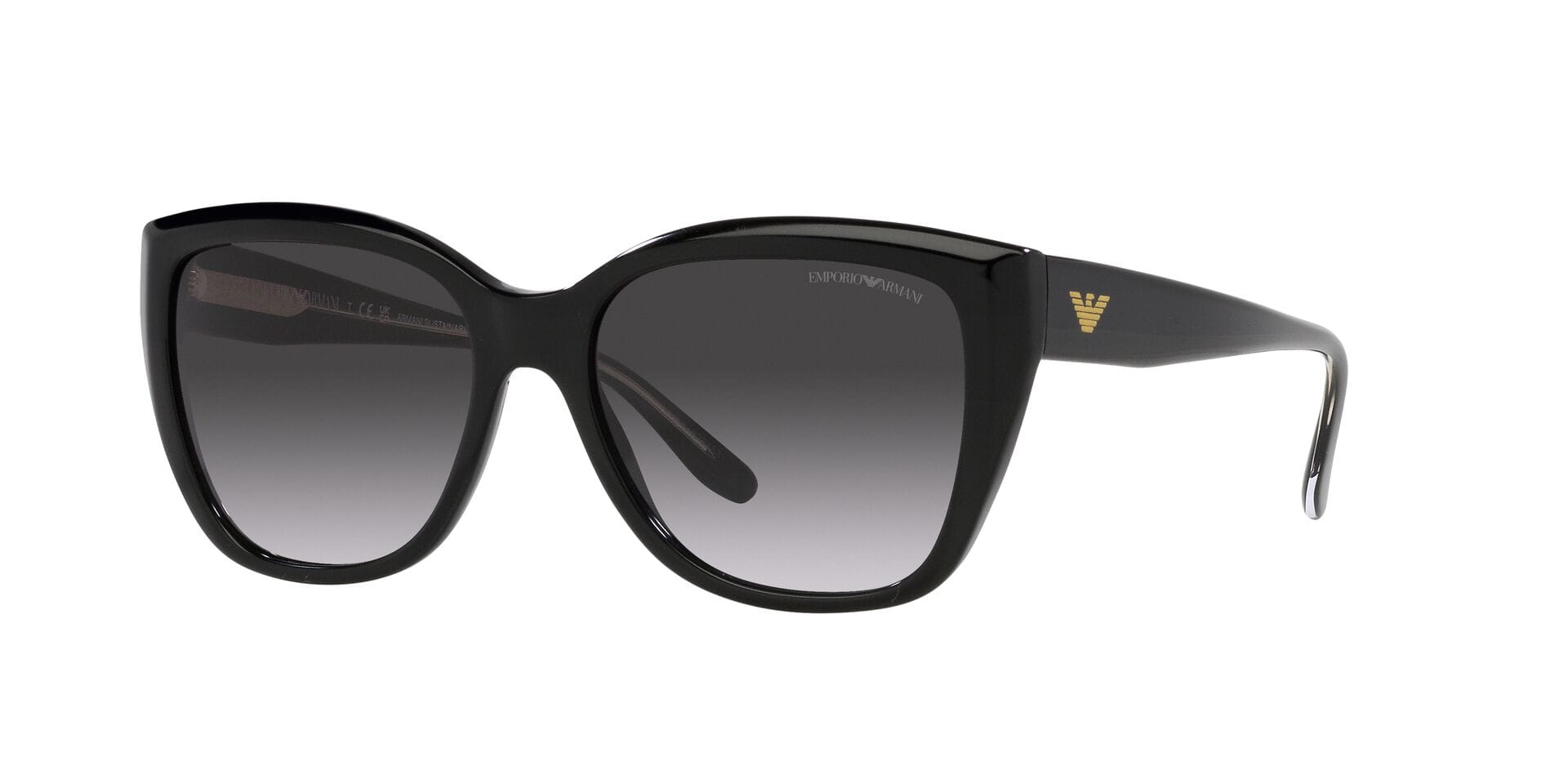 Emporio Armani 0EA4198 Sunglass Black Female Full Shell Sunglass — Black frame — alternate view