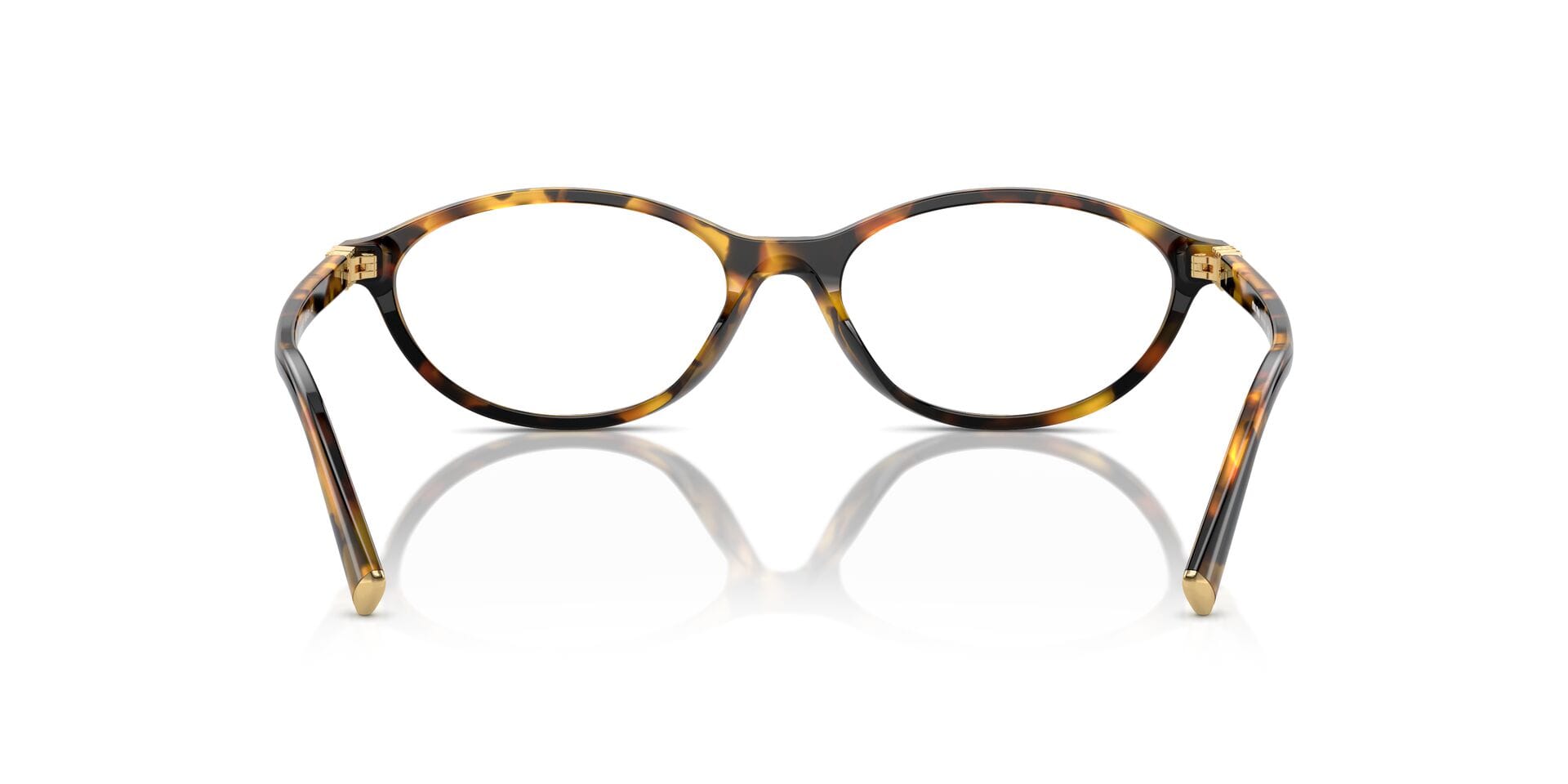 Miu Miu 0MU09XV Frame Havana Female Shell Shell Frame — Havana frame — view 2