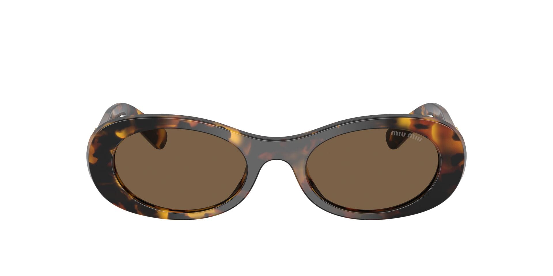 Miu Miu SMU 06Z VAU-06B 3N 0MU06Z Sunglass Havana Female Full Shell — Havana frame