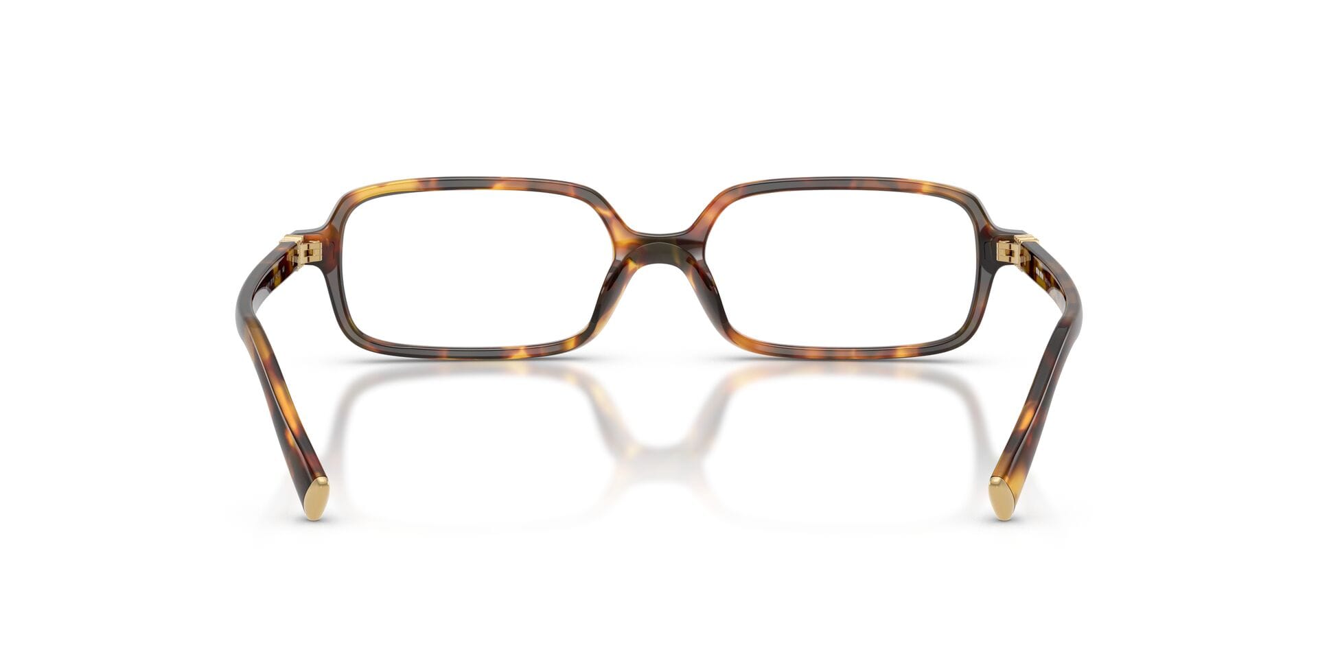 Miu Miu 0MU01YV Frame Honey Female Full Shell Frame — Honey frame — view 2