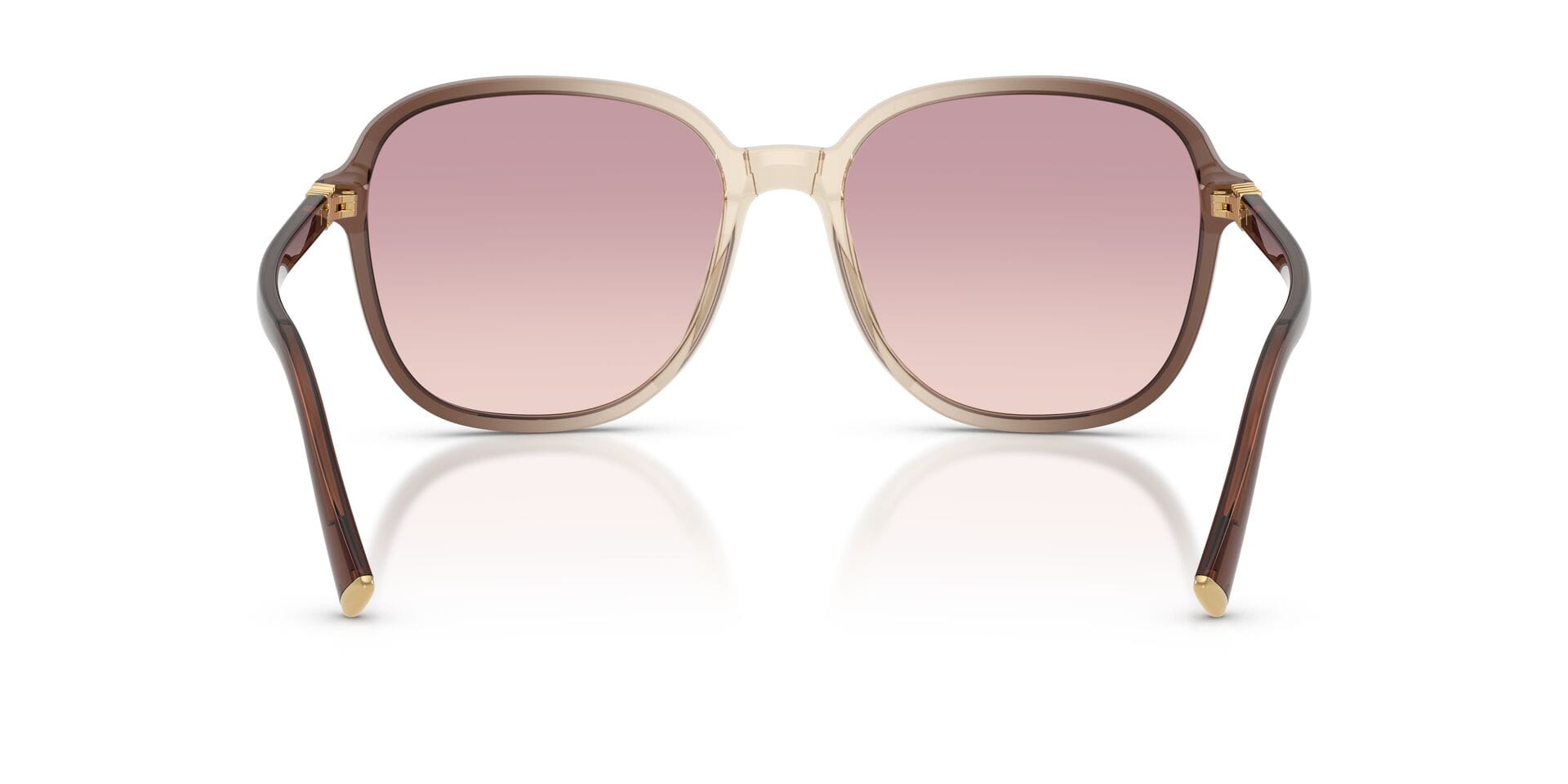 Miu Miu SMU B01 25G-40S 1N 0MUB01S Sunglass Brown Female Full Shell Sunglass — Brown frame — view 2