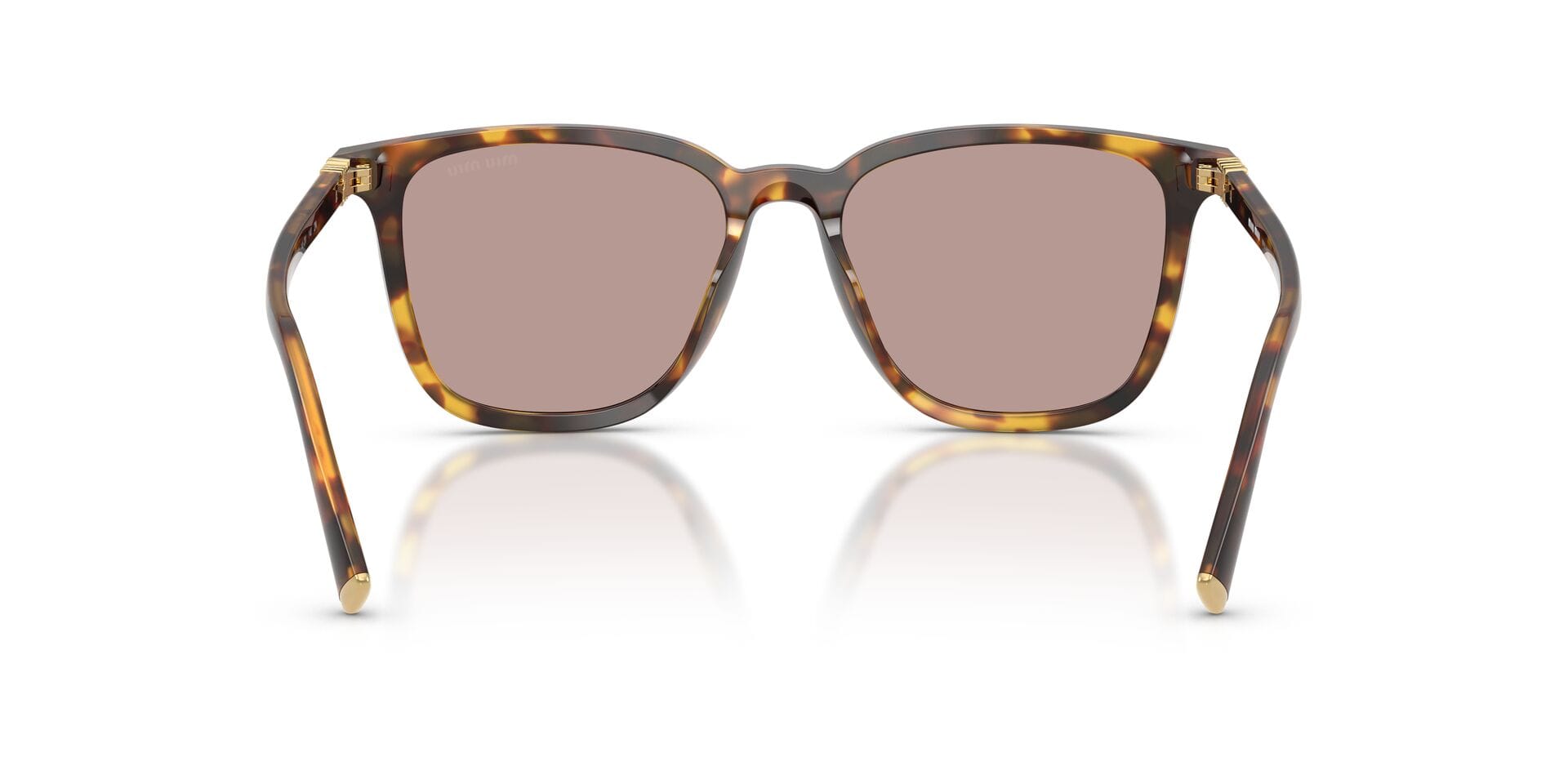 Miu Miu SMU B03 14L-20I 2N 0MUB03S Sunglass Honey Female Full Shell Sunglass — Honey frame — view 5