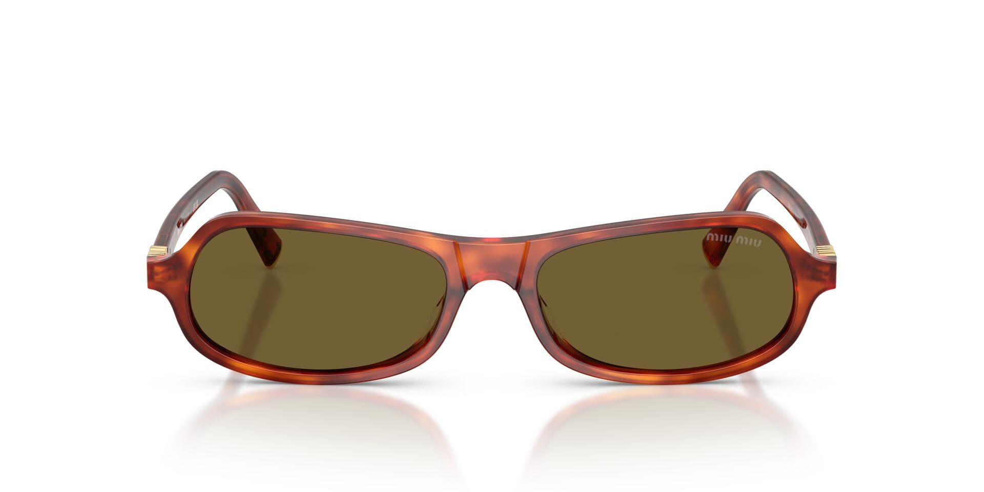 Miu Miu 0MUB10SU Sunglass Havana Female Shell Shell Sunglass — Havana frame — view 4