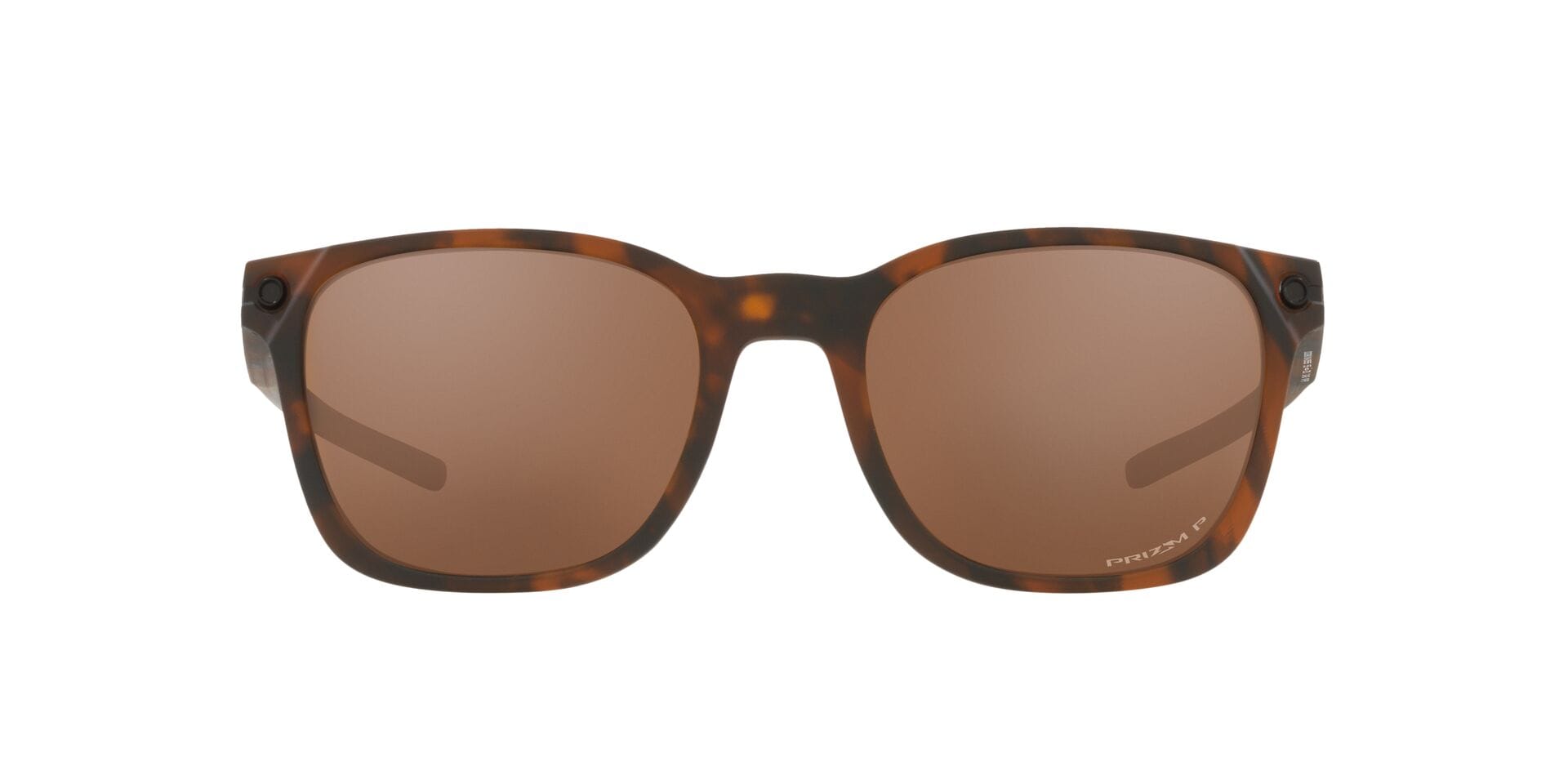Oakley 0OO9018 Sunglass Havana Male Shell Shell Sunglass — Havana frame — view 6