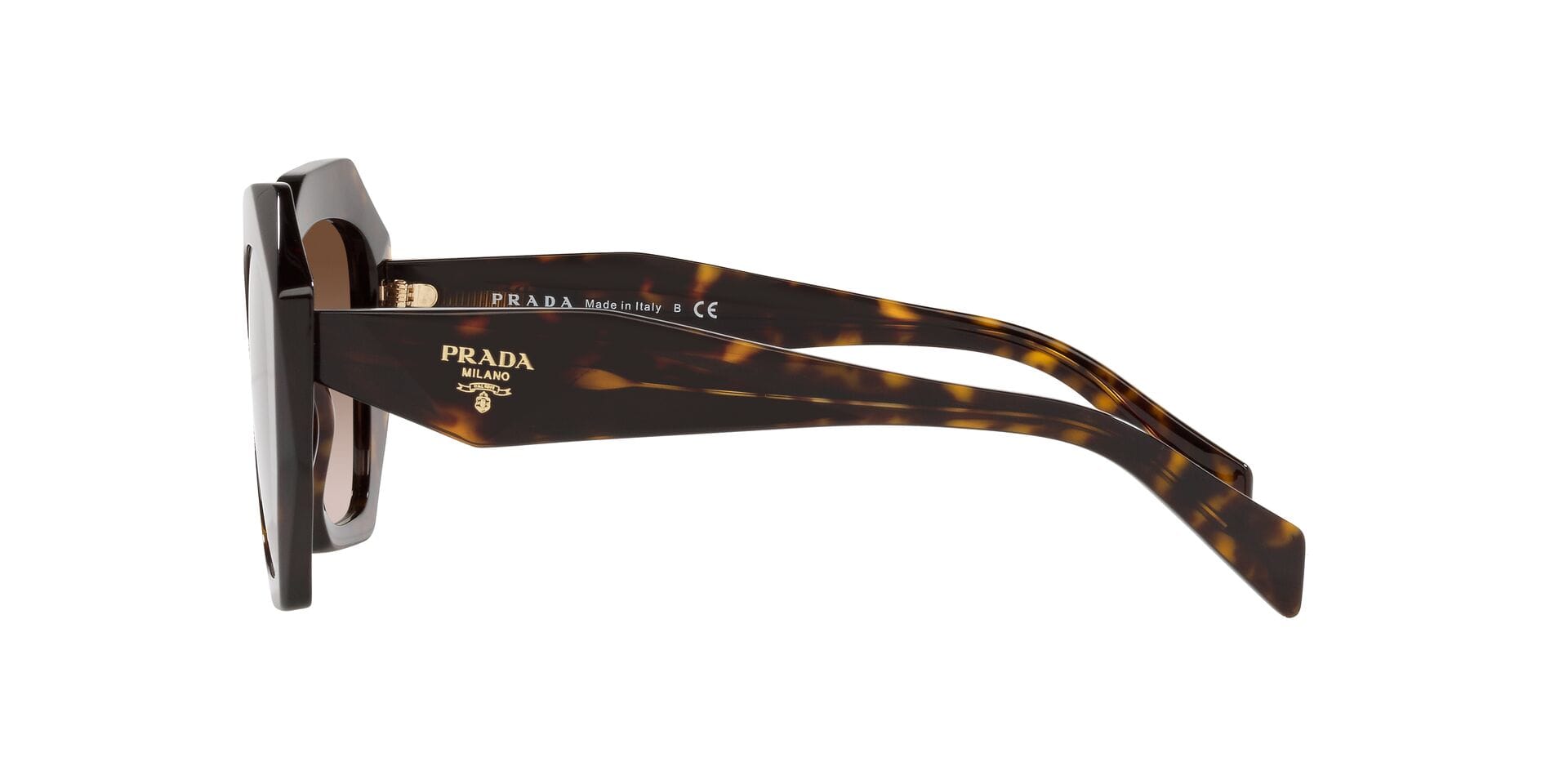 Prada 0PR 16WS Sunglass Havana Female Full Shell Sunglass — Havana frame — view 3