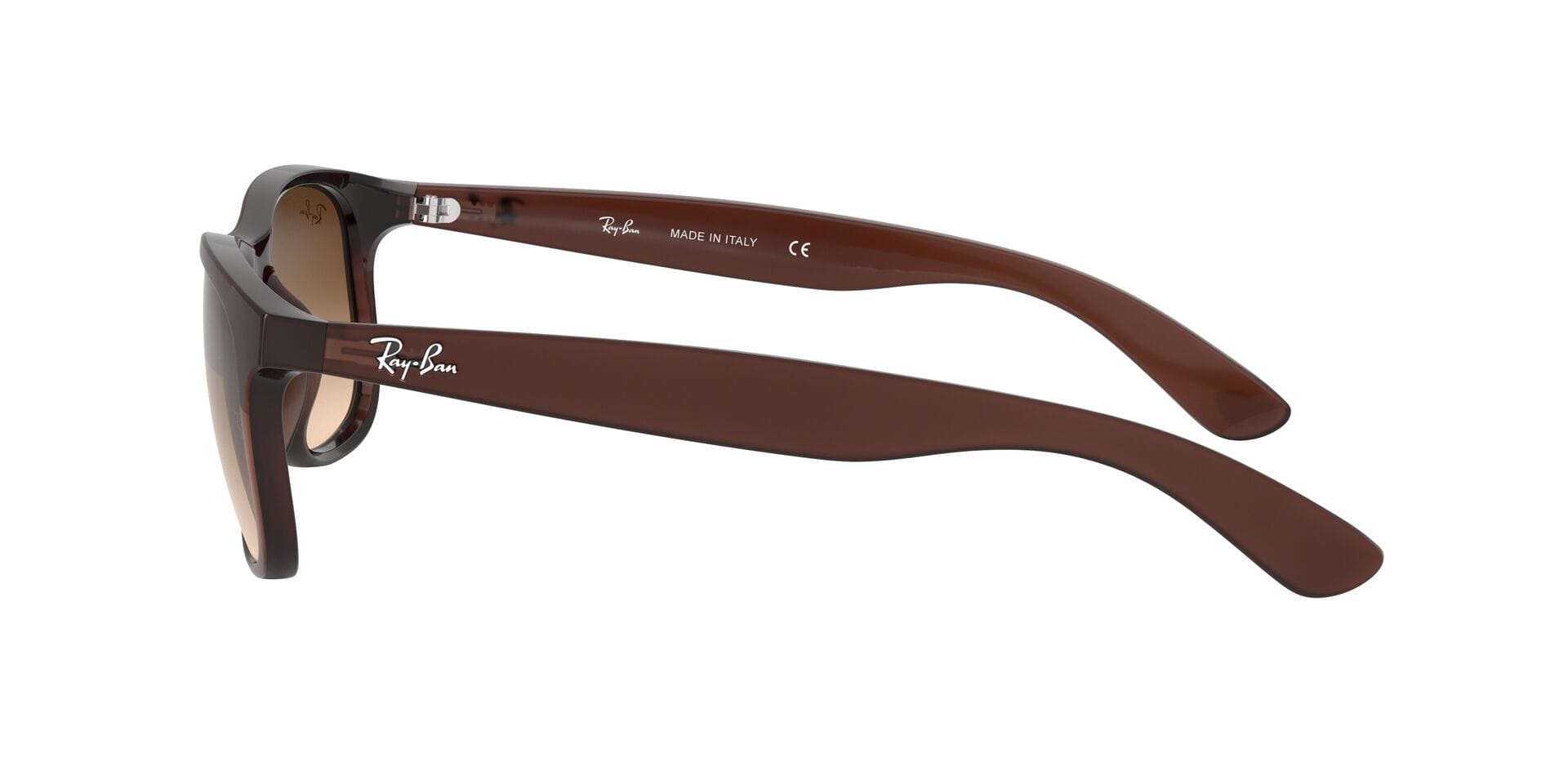Rayban 0RB4202 Sunglass Brown Male Full Shell Sunglass — Brown frame — view 3