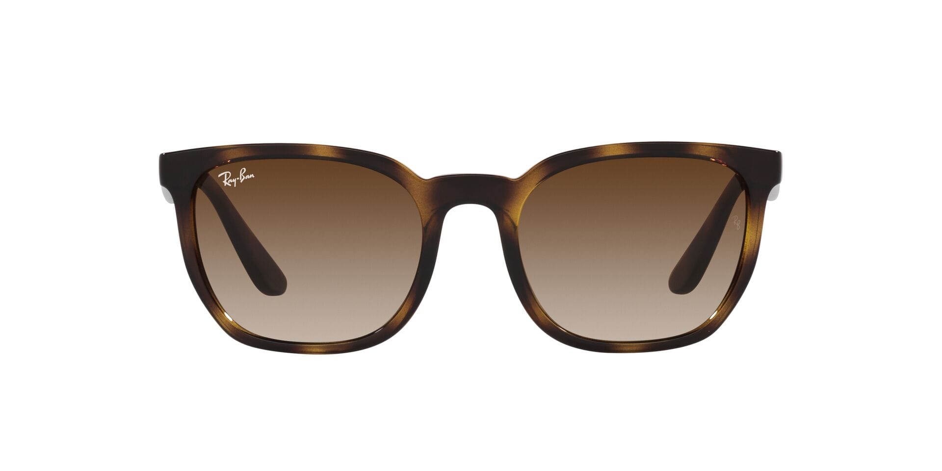Rayban 0RB4390I Sunglass Havana Male Shell Shell
