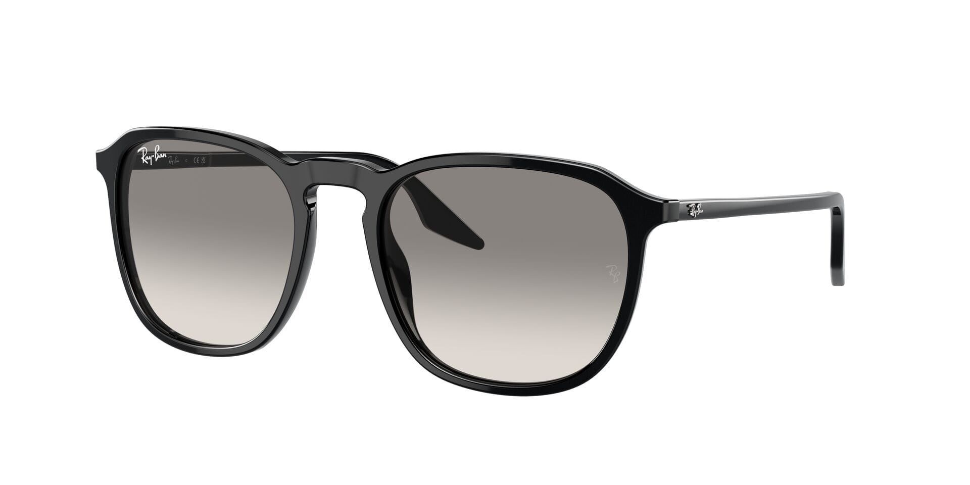 Rayban 0RB2203 Sunglass Black Unisex Full Shell Sunglass — Black frame — view 1
