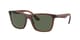 Transparent Brown