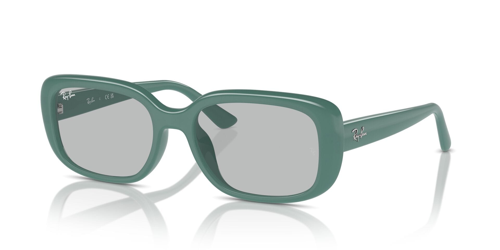 Rayban 0RB4421D Sunglass Green Unisex Full Shell — Green frame