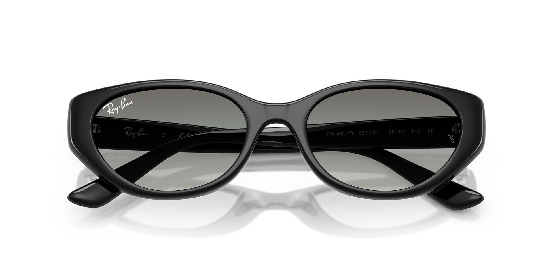 Rayban 0RB4457D Sunglass Black Unisex Full Shell Sunglass — Black frame — view 5