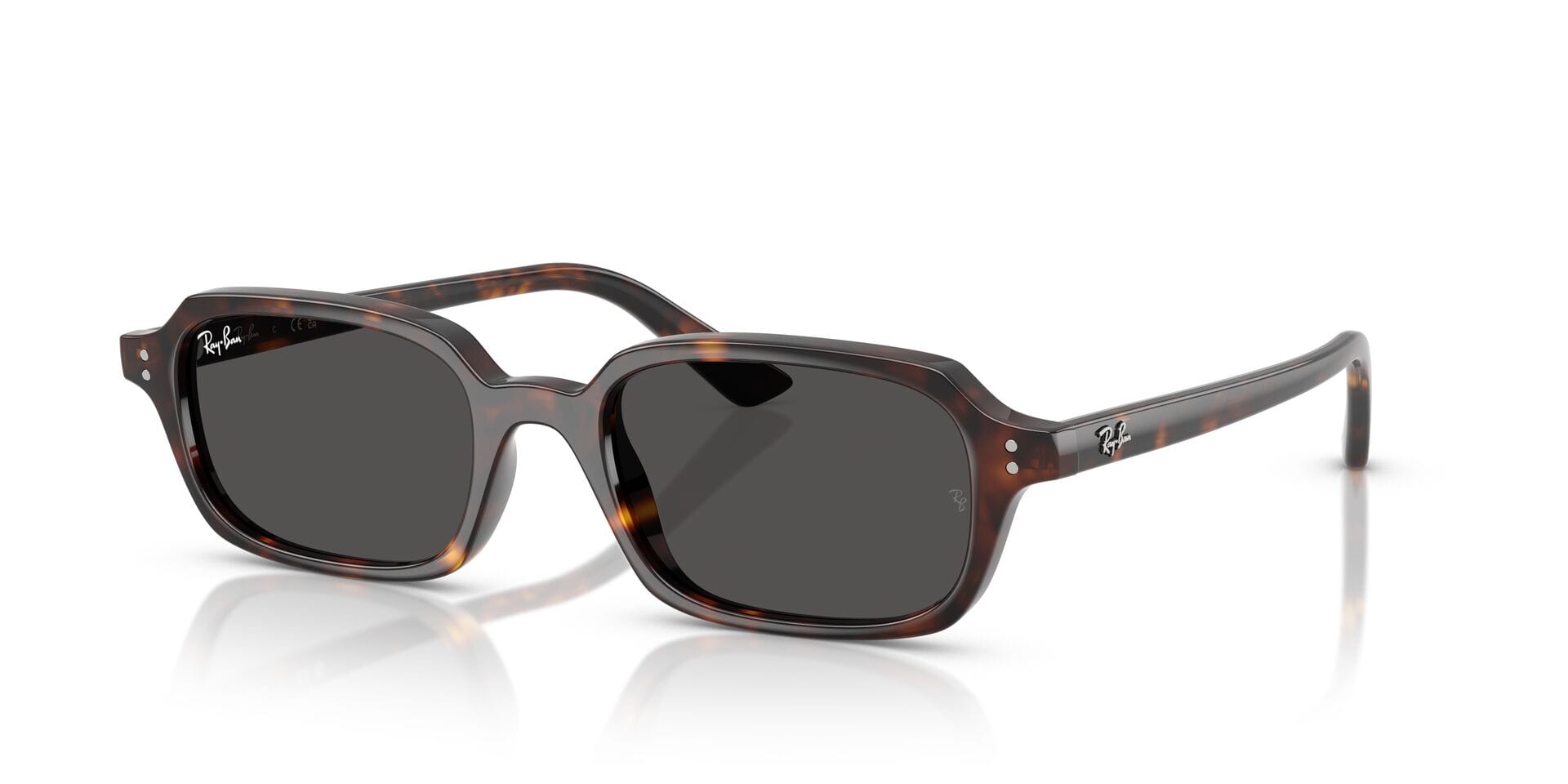 Rayban 0RB4455 Sunglass Havana Unisex Full Shell Sunglass — Havana frame — view 1