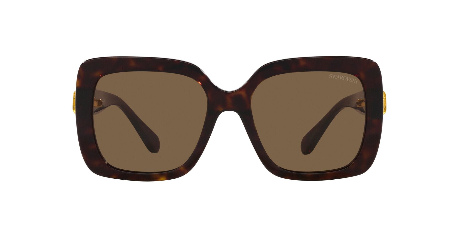 Swarovski 0SK6001 Sunglass Havana Female Full Shell Sunglass — Havana frame