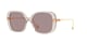Transparent Brown