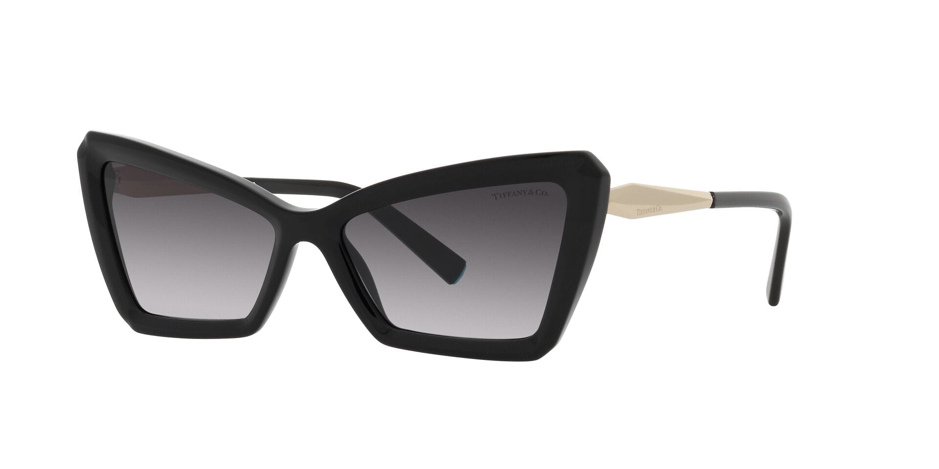 Tiffany & Co 0TF4203 Sunglass Black Female Full Metal