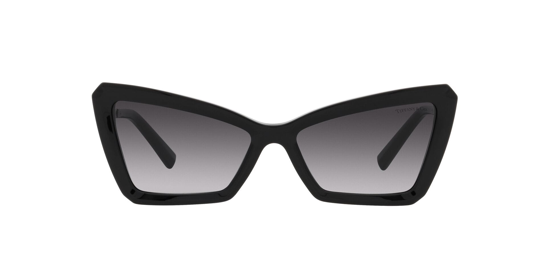 Tiffany & Co 0TF4203 Sunglass Black Female Full Metal