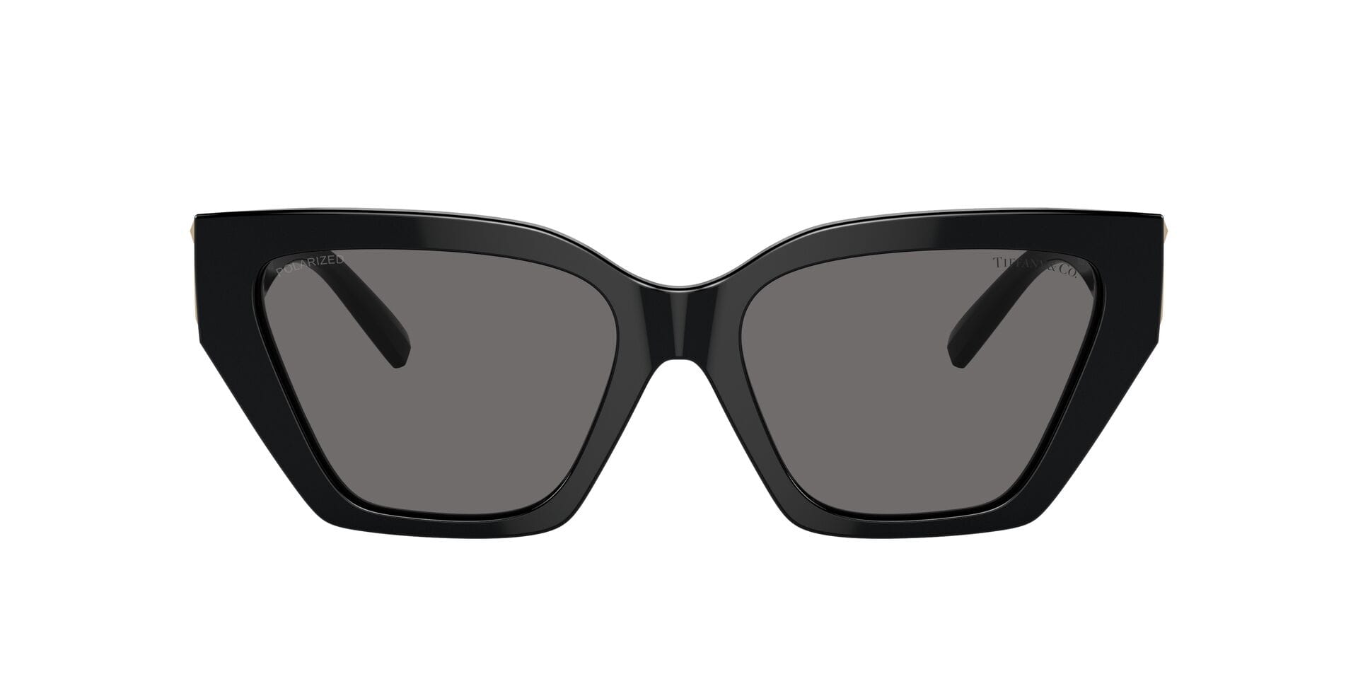 Tiffany & Co 0TF4218 Sunglass Black Unisex Full Shell Sunglass — Black frame — view 2