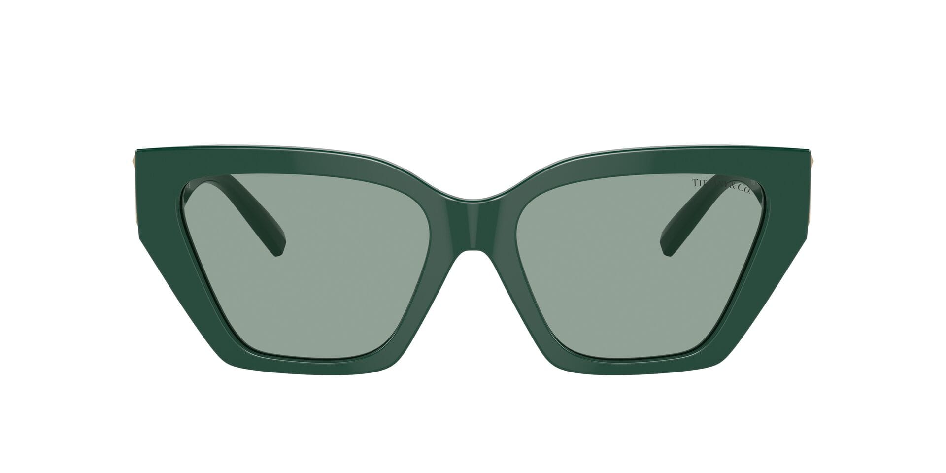 Tiffany & Co 0TF4218 Sunglass Green Female Full Shell — Black frame