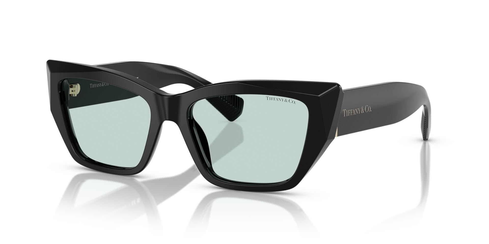 Tiffany & Co 0TF4230 Sunglass Black Female Full Shell Sunglass — Black frame — alternate view