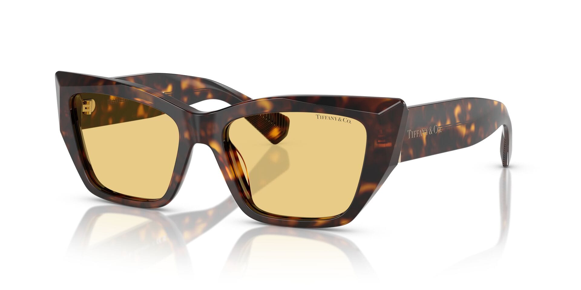 Tiffany & Co 0TF4230 Sunglass Havana Male Full Shell Sunglass — Havana frame — alternate view