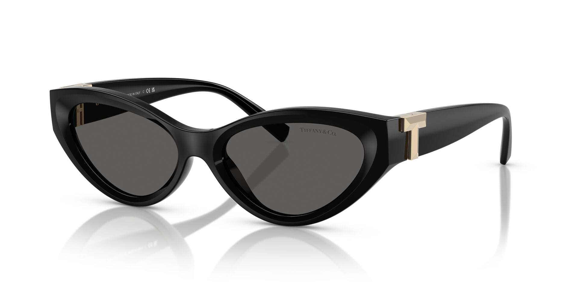 Tiffany & Co 0TF4225U Sunglass Black Female Full Shell Sunglass — Black frame — alternate view