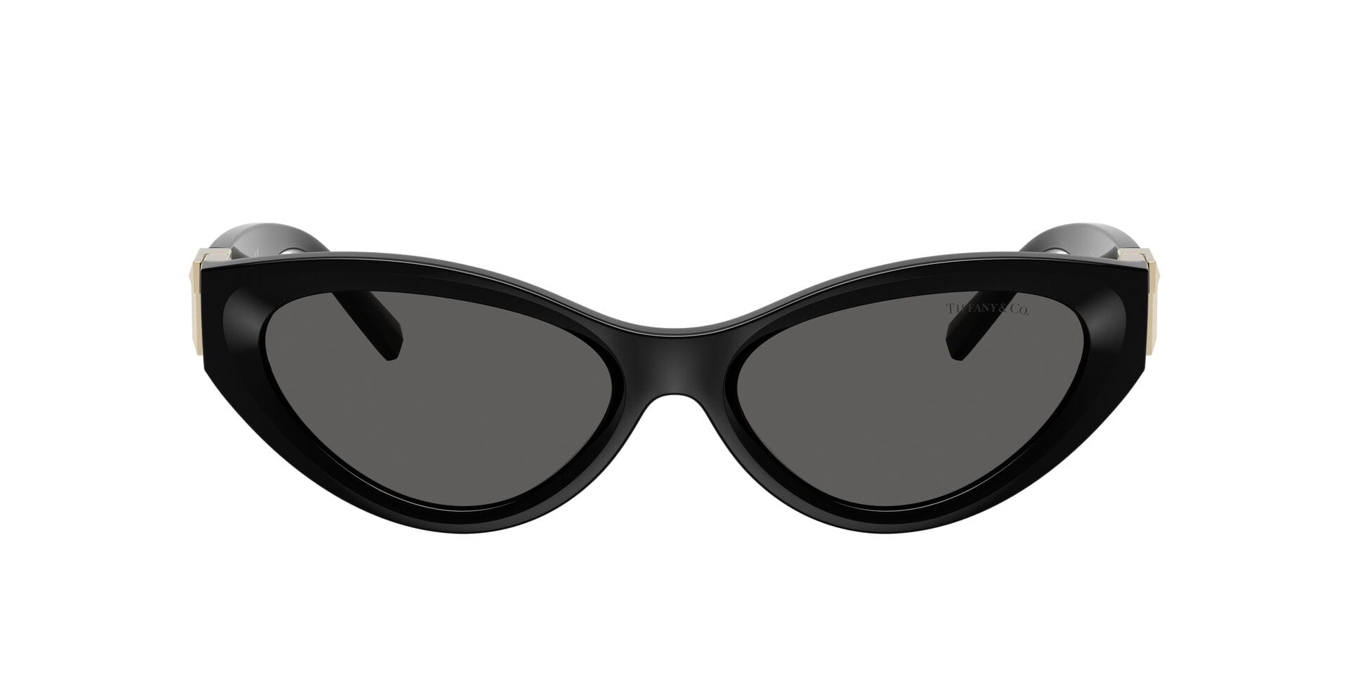 Tiffany & Co 0TF4225U Sunglass Black Female Full Shell Sunglass — Black frame