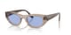 Transparent Brown