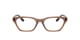 Transparent Brown