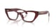 Transparent Maroon